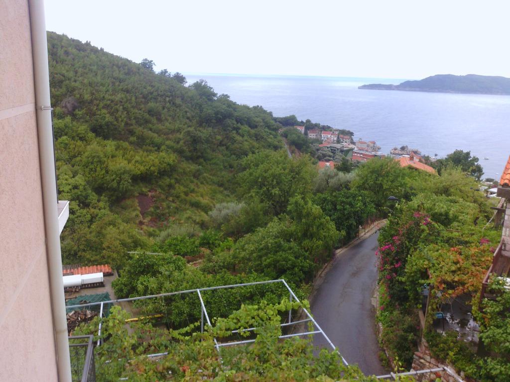 Apartments Mitrovic Podlicak Свети-Стефан Номер фото