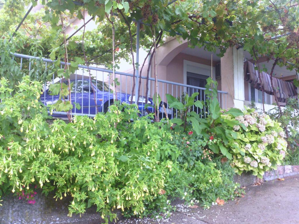 Apartments Mitrovic Podlicak Свети-Стефан Экстерьер фото